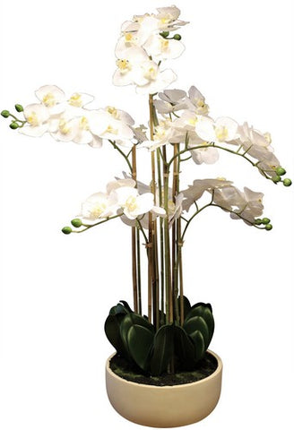 real touch 7 spray orchid